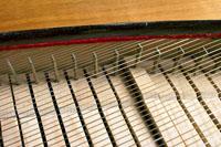 Photograph of clavichord tangents