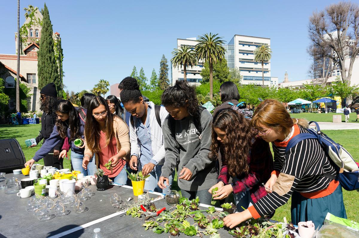 Students select succulents to plant at an Earth Day booth.